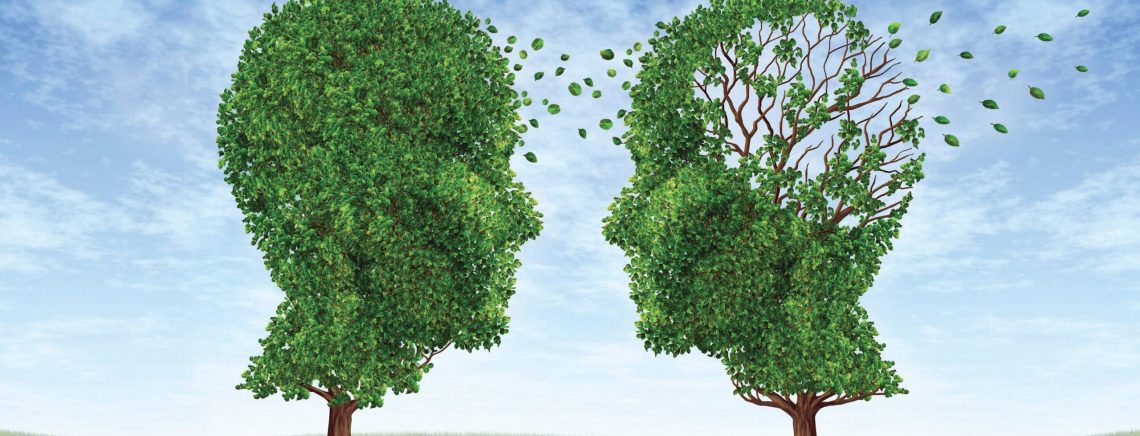 think-time-tree-heads